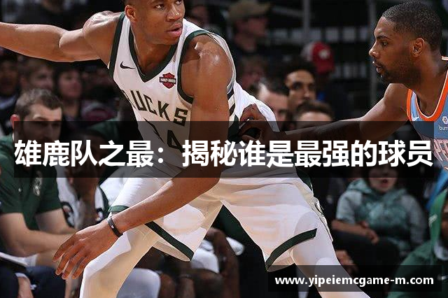 雄鹿队之最：揭秘谁是最强的球员