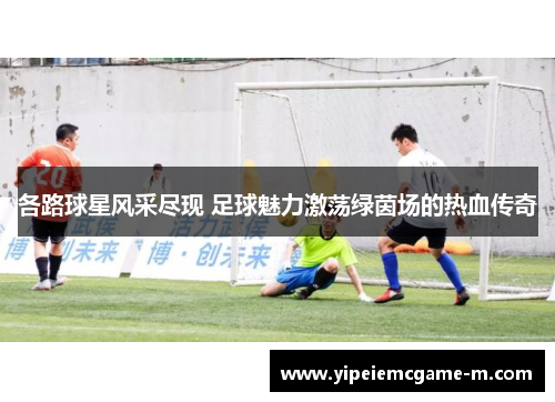 各路球星风采尽现 足球魅力激荡绿茵场的热血传奇