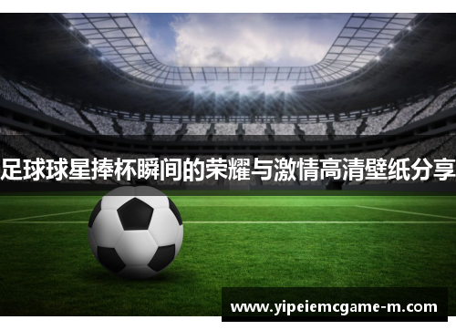 足球球星捧杯瞬间的荣耀与激情高清壁纸分享